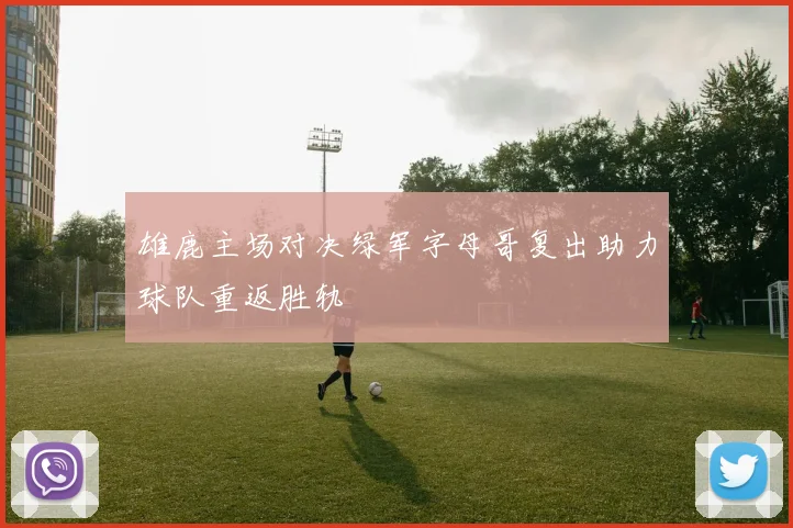 雄鹿主场对决绿军字母哥复出助力球队重返胜轨