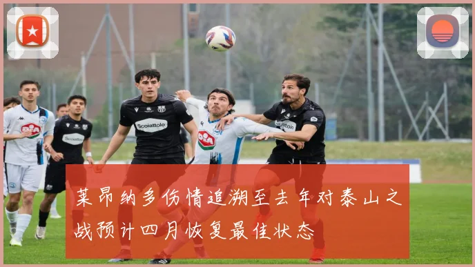 莱昂纳多伤情追溯至去年对泰山之战预计四月恢复最佳状态