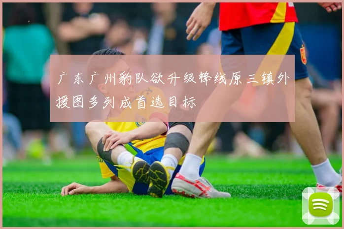 广东广州豹队欲升级锋线原三镇外援图多列成首选目标