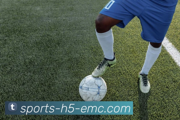 易倍体育APP 高清赛事图