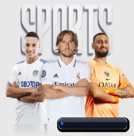 每个板块围绕一个运动项目展开 - EMCSPORTS